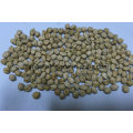 New Crop Chickpeas Kabuli Grade